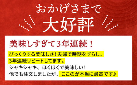 ＜先行予約＞【特別栽培農産物 認定】地元江北町産 泥付き蓮根 3kg【百武青果】 [HAE001]レンコン れんこん 野菜 佐賀