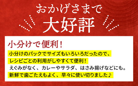 ＜先行予約＞【特別栽培農産物 認定】地元江北町産 佐賀れんこんパック 1kg（250g×4）【百武青果】[HAE013]真空パック 真空 蓮根 レンコン れんこん 野菜 佐賀 