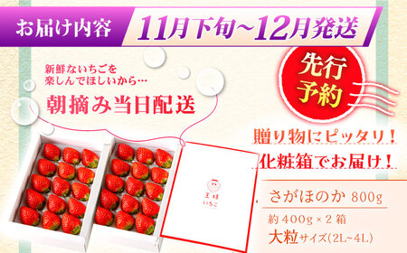 【先行予約】【11月下旬〜12月発送】王様のいちごさがほのか400g×2箱むらおか農園 HAF002 いちご フルーツ 果物