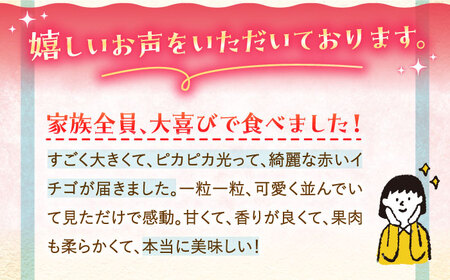 【先行予約】【11月下旬〜12月発送】王様のいちごさがほのか400g×2箱むらおか農園 HAF002 いちご フルーツ 果物