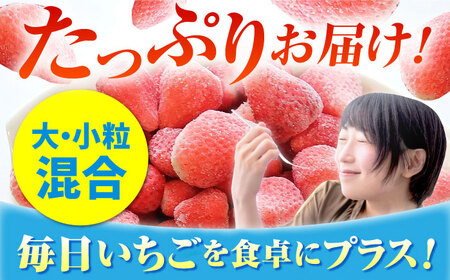 冷凍いちご 1kg HAF003 いちご 苺 アイス