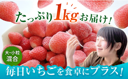 王様のいちご 摘みたてこおりいちご 1kg（冷凍いちご）いちごさん さがほのか【むらおか農園】フルーツ 果物 イチゴ [HAF007]