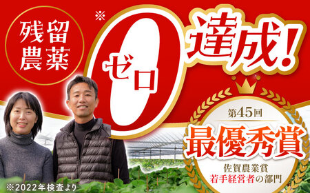 【先行予約】【1〜2月発送】王様のいちご いちごさん400g×2箱 HAF009 果物 フルーツ