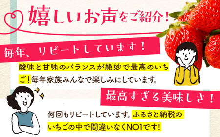 【先行予約】【1〜2月発送】王様のいちご いちごさん400g×2箱 HAF009 果物 フルーツ