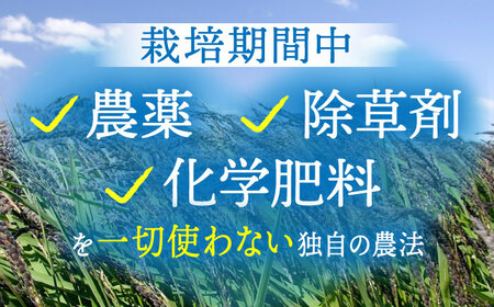 【全12回定期便】穀物三昧 500g×2袋【葦農】 HAJ024 麦ごはん 雑穀米 古代米