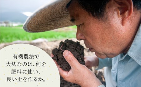 【全3回定期便】籾付玄米茶 300g×1袋【葦農】HAJ028 玄米茶 お茶