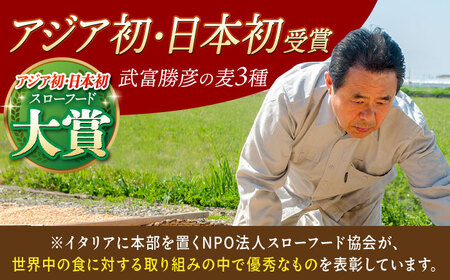 【全6回定期便】胚芽押麦500g（1等麦使用）【葦農】 HAJ035 