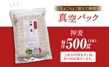 【全6回定期便】押麦500g 1等麦使用 葦農 HAJ038