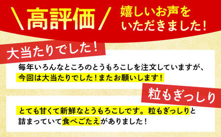 【先行予約】＜2025年6月中旬以降発送＞スイートコーン・ゴールドラッシュ 8本〜10本【八丁屋】[HAO001]とうもろこし 野菜 トウモロコシ 佐賀 九州 