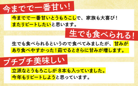 【先行予約】＜2025年6月中旬以降発送＞スイートコーン・ゴールドラッシュ 8本〜10本【八丁屋】[HAO001]とうもろこし 野菜 トウモロコシ 佐賀 九州 