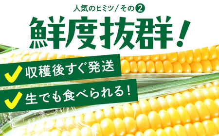 【先行予約】＜2025年6月中旬以降発送＞スイートコーン・ゴールドラッシュ 8本〜10本【八丁屋】[HAO001]とうもろこし 野菜 トウモロコシ 佐賀 九州 