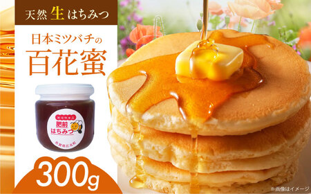 天然生はちみつ（百花蜜）300g [HAQ011]はちみつ ハチミツ 蜂蜜 11,360円