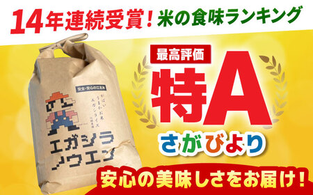 【先行予約】令和6年産 新米 がばいうまかエガシライス（さがびより）玄米 10kg（5kg×2袋）【江頭農園】[HAU003]特A 特A評価 コメ お米 特A米