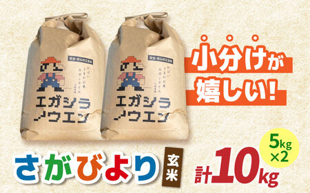 【先行予約】令和6年産 新米 がばいうまかエガシライス（さがびより）玄米 10kg（5kg×2袋）【江頭農園】[HAU003]特A 特A評価 コメ お米 特A米