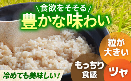 全3回定期便】さがびより 玄米 10kg（5kg×2袋）【江頭農園