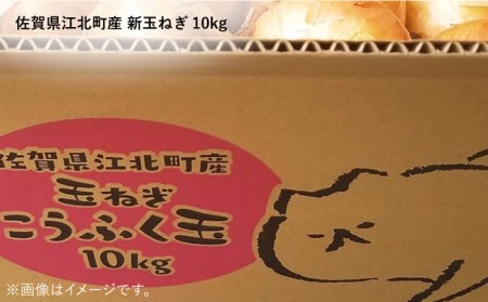 【先行予約】江北町産 新玉ねぎ 10kg【こうふく農園】 [HBA002] たまねぎ 玉ねぎ 新たまねぎ 早生 野菜 たまねぎ 玉ねぎ