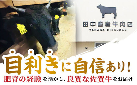 【全3回定期便】佐賀牛 プレミアム霜降り定期 HBH025 焼肉 佐賀牛 国産 和牛 黒毛和牛
