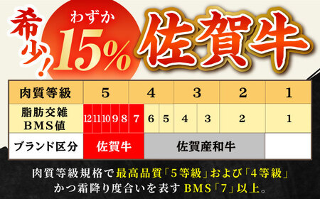 【全6回定期便】佐賀牛 プレミアム霜降り定期 HBH026 焼肉 佐賀牛 国産 和牛 黒毛和牛