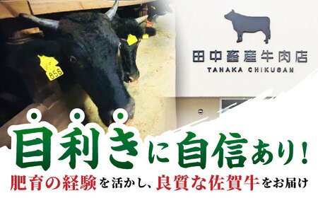 【全6回定期便】4人家族向け 佐賀牛 普段使いセットA [HBH036]  