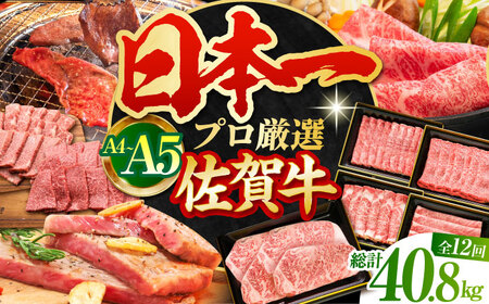 【全12回定期便】佐賀牛大満喫定期 HBH043 焼肉 佐賀牛 スライス 霜降り 国産 和牛