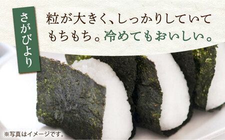 【さがの米 食べ比べ】令和6年産 新米 さがびより 夢しずく 白米 計10kg ( 5kg×2種 )【五つ星お米マイスター厳選】 [HBL002]特A評価 特A 特A米 米 お米 佐賀