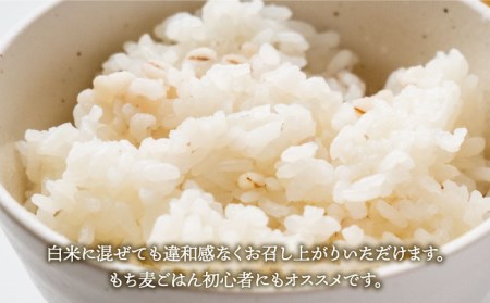 【全3回定期便】もち麦 キラリモチ 4kg（1kg×4袋）【大塚米穀店】 [HBL039]