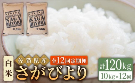 【全12回定期便】さがびより 白米 10kg（5kg×2袋）【五つ星お米マイスター厳選】 [HBL043]特A評価 特A 特A米 米 定期便 お米 佐賀 コメ