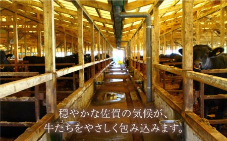 佐賀牛 ローストビーフ400g【Trade com 8】HBO002 ローストビーフ モモ肉 黒毛和牛 国産