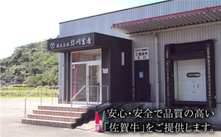 佐賀牛 厚切りサーロインステーキ280g【Trade com 8】HBO003 ステーキ