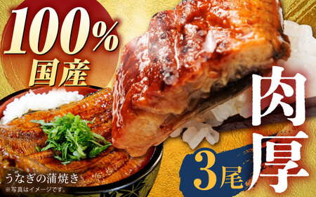【肉厚ふっくら】国産うなぎ蒲焼き3尾【魚正】HBV002 うなぎ 蒲焼 国産