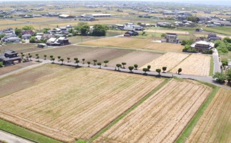 バイリンガル絵本「馳け巡る〜ぼくのまちのやぶさめ〜」【CLUB RIO】[HBY001] 絵本 えほん 伝統芸能 流鏑馬