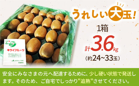 【先行予約】佐賀県産 キウイフルーツ（ヘイワード）3.6kg【JAさが】[HBZ001]キウイ フルーツ 果物 くだもの