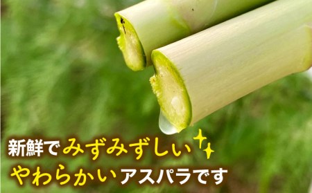 【新鮮でみずみずしい】アスパラガス 700g【けいちゃん農園】アスパラ 野菜 [HCC005]