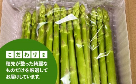 【新鮮でみずみずしい】アスパラガス 700g【けいちゃん農園】アスパラ 野菜 [HCC005]