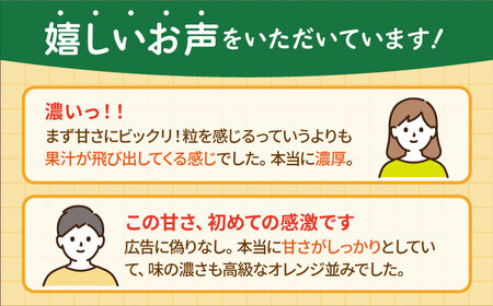 ＜先行予約＞【2月〜3月発送】幻のみかん タッチの甘熟「今村温州みかん」5kg【夢の甘熟みかん タッチ】[HCE002]フルーツ みかん 果物 貯蔵 ミカン 蜜柑