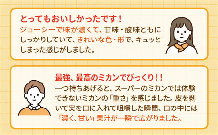 ＜先行予約＞【2月〜3月発送】幻のみかん タッチの甘熟「今村温州みかん」5kg【夢の甘熟みかん タッチ】[HCE002]フルーツ みかん 果物 貯蔵 ミカン 蜜柑