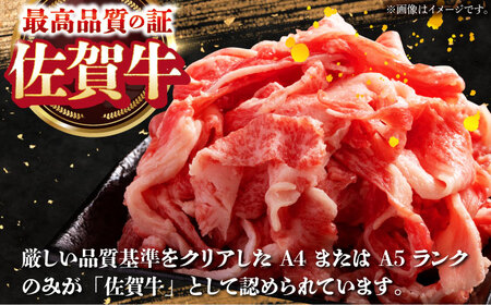 【全12回】季節の佐賀牛定期便（2人前） HAA072 牛肉定期便