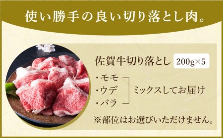 【便利な小分け】佐賀牛 切り落とし 1kg (200g×5パック)【肉の三栄】[HAA079] 黒毛和牛 牛肉 肉 モモ ウデ バラ 赤身 小分け