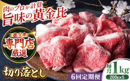 【全6回定期便】佐賀牛 切り落とし200g×5パック HAA081 切り落とし 国産 和牛 牛肉 11,100円
