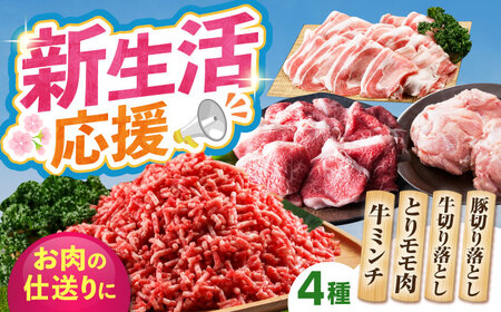 ミンチ付き！三栄のデイリーセット HAA091 ミンチ 国産 和牛 佐賀牛