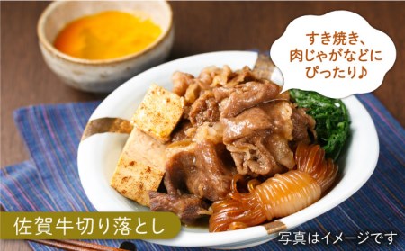 【全6回定期便】ミンチ付き！三栄のデイリーセット HAA093  ミンチ 国産 和牛 佐賀牛