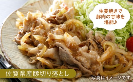 【全6回定期便】ミンチ付き！三栄のデイリーセット HAA093  ミンチ 国産 和牛 佐賀牛