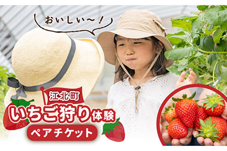 【先行予約】【五感で楽しむ】いちご狩り体験ペアチケット【花祭いちごの谷】HBN002 チケット