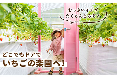 【先行予約】【五感で楽しむ】いちご狩り体験ペアチケット【花祭いちごの谷】HBN002 チケット
