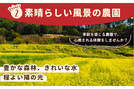 【先行予約】【五感で楽しむ】いちご狩り体験ペアチケット【花祭いちごの谷】HBN002 チケット