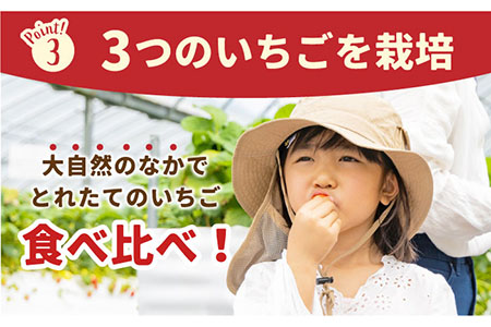 【先行予約】【五感で楽しむ】いちご狩り体験ペアチケット【花祭いちごの谷】HBN002 チケット