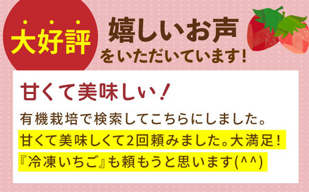 【12～4月発送】いちごさん・さがほのか 計500g  [HBN003] いちご いちご いちご いちご いちご いちご