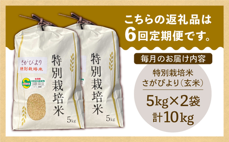 【全6回定期便】特別栽培米 さがびより 玄米 10kg【だいちの家】特A米 特A評価[HAG020]
