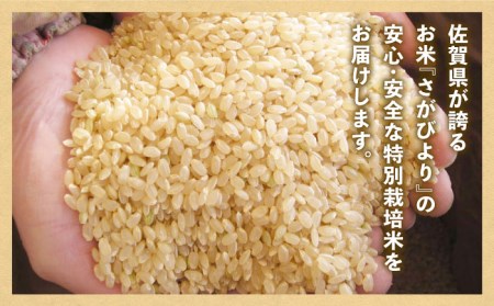 【全6回定期便】特別栽培米 さがびより 玄米 10kg【だいちの家】特A米 特A評価[HAG020]