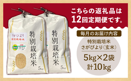 【全12回定期便】特別栽培米 さがびより 玄米 10kg【だいちの家】特A米 特A評価[HAG021]